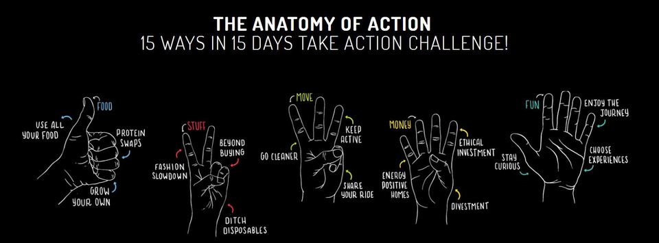 Anatomy of action sustainable lifestyle challenge