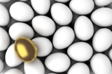 Accounting Services Dunedin