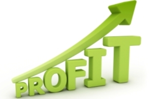 Profit maximisation Business accounting