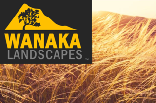 Wanaka Landscapes Set to Grow