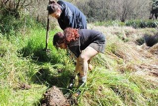 He Whakatipuranga Hou: Youth wānanga to restore wetlands, Wairarapa