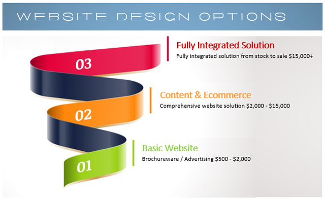 Website design options