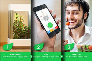 Crowdfunding NZ