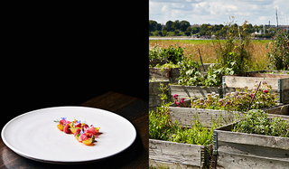 Organic Paddock-to-Plate Resturant Reduces Waste