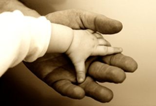 Asset Protection Seminar - Dunedin
